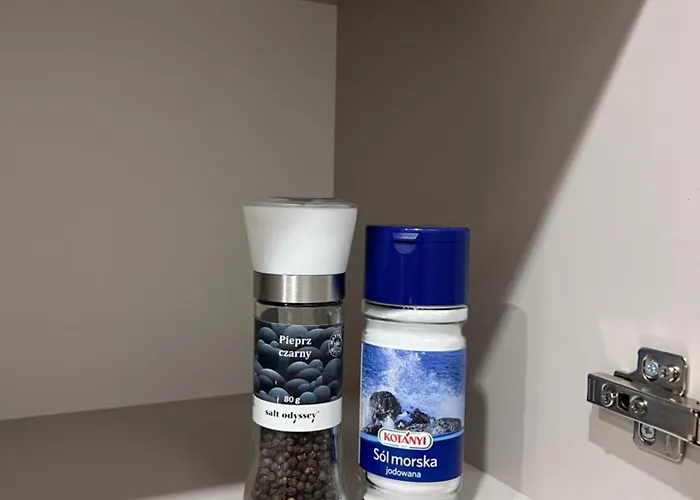 Sw Invest شقة غليفيتسه